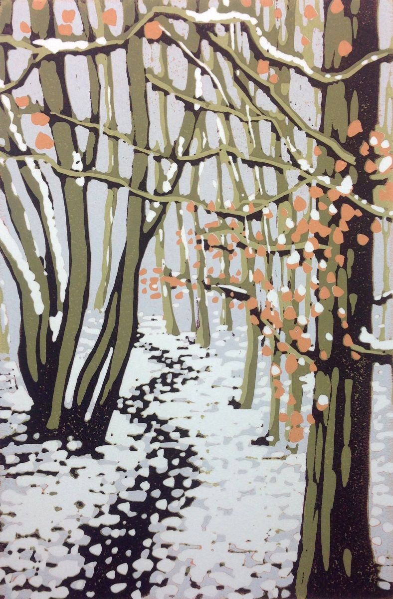 Snowy Beeches by Alexandra Buckle