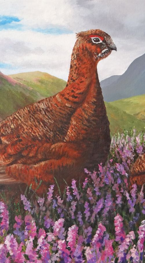 Grouse in Heather by Janet Carson