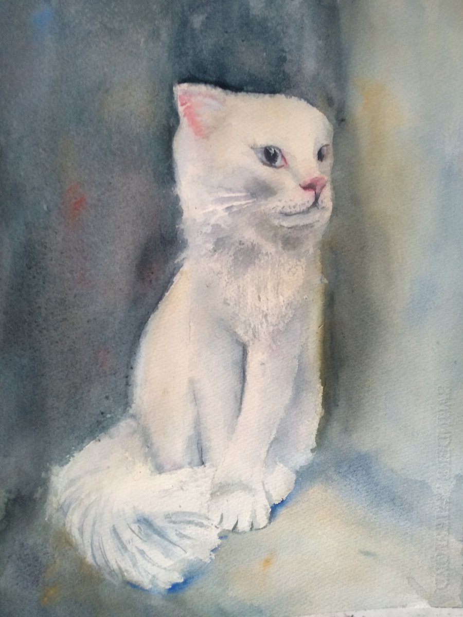 White cat by Nata New