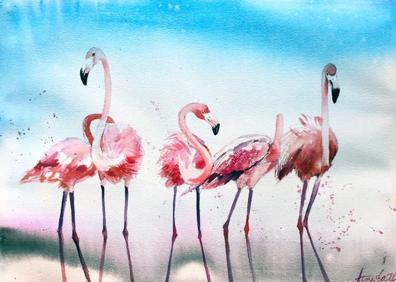 Flamingos' Morning