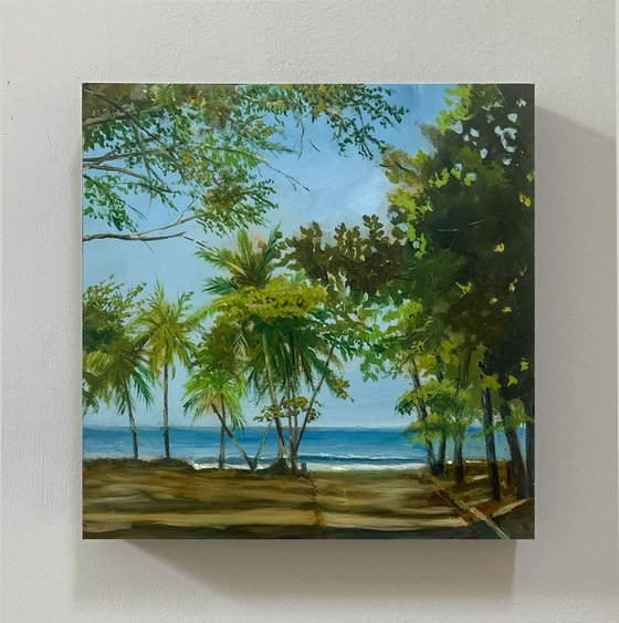 First Glimpse at the Sea