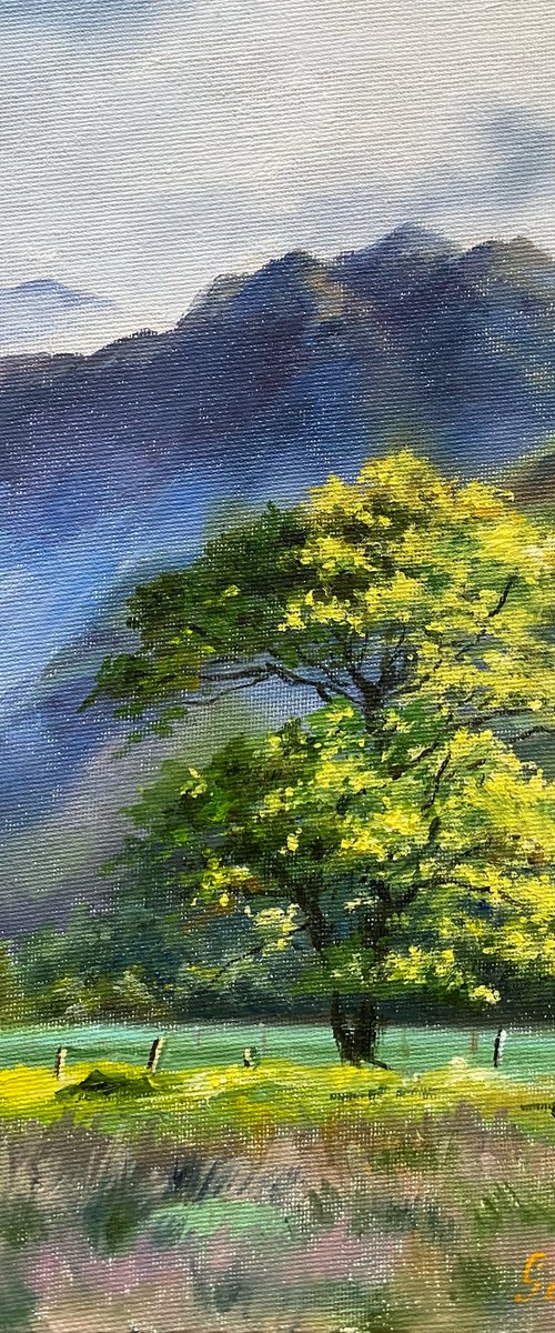A tree under the sun by Elvira Sultanova