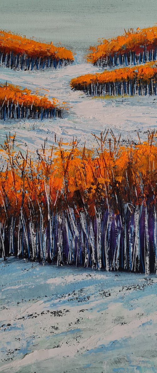Aspen Winter Study- Fields and Colors Series by Danijela Dan