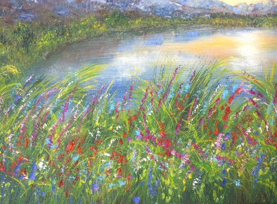 Wildflowers meadow by the river