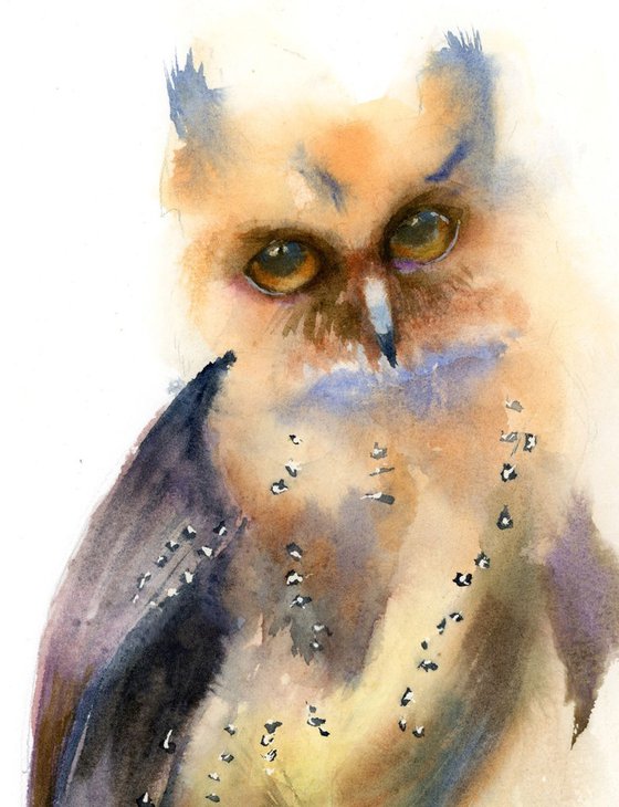 Owl