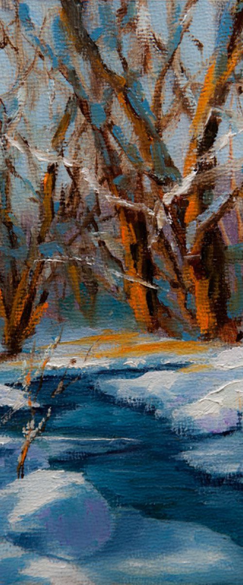 Byers Creek by Dan Twitchell, OPA, AIS