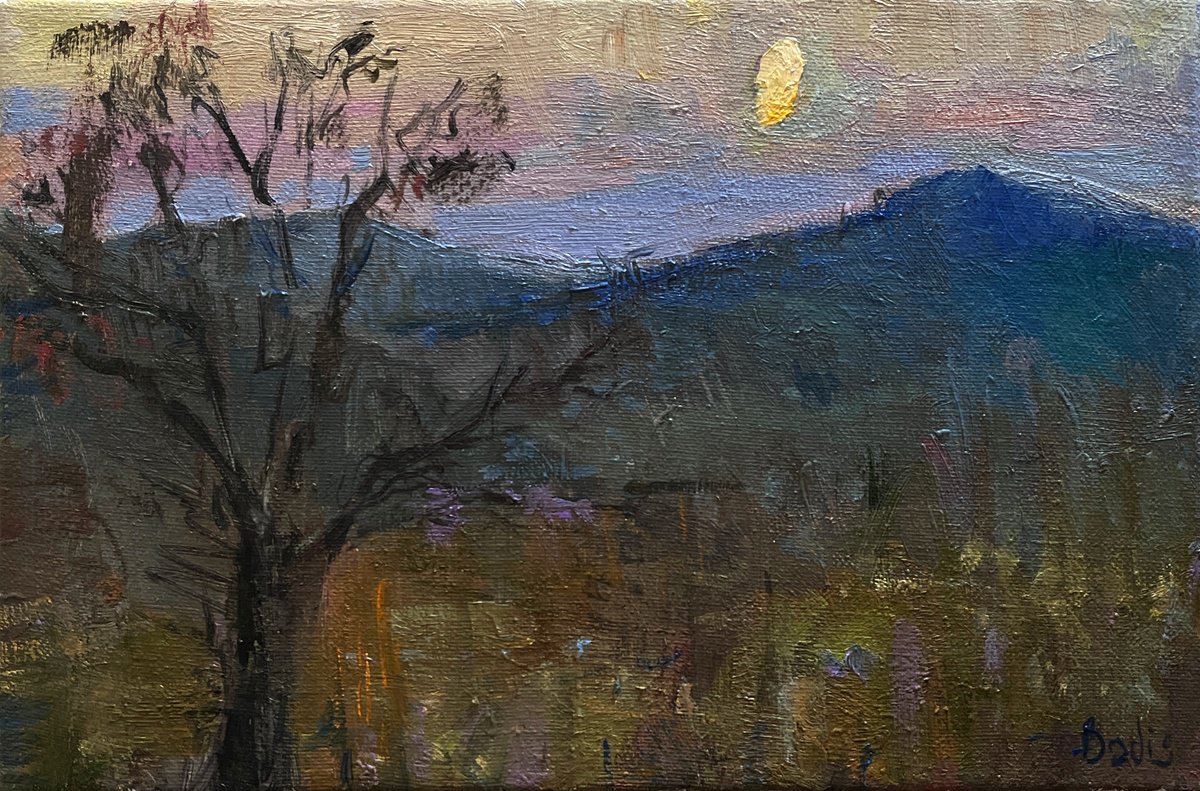 Impressionistic Landscape Oil Painting By Bohdan Dobrivskyi, 14 X 10, Fabulous Evening, Original Artwork