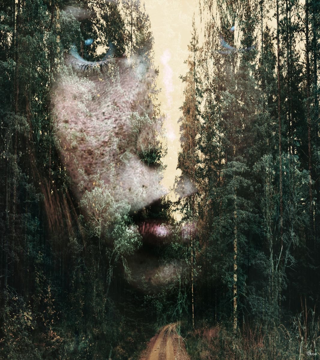 Illustrative Portrait Photograph By Bojan Jevtic, 38 X 43, Forest Spirit, Original Artwork