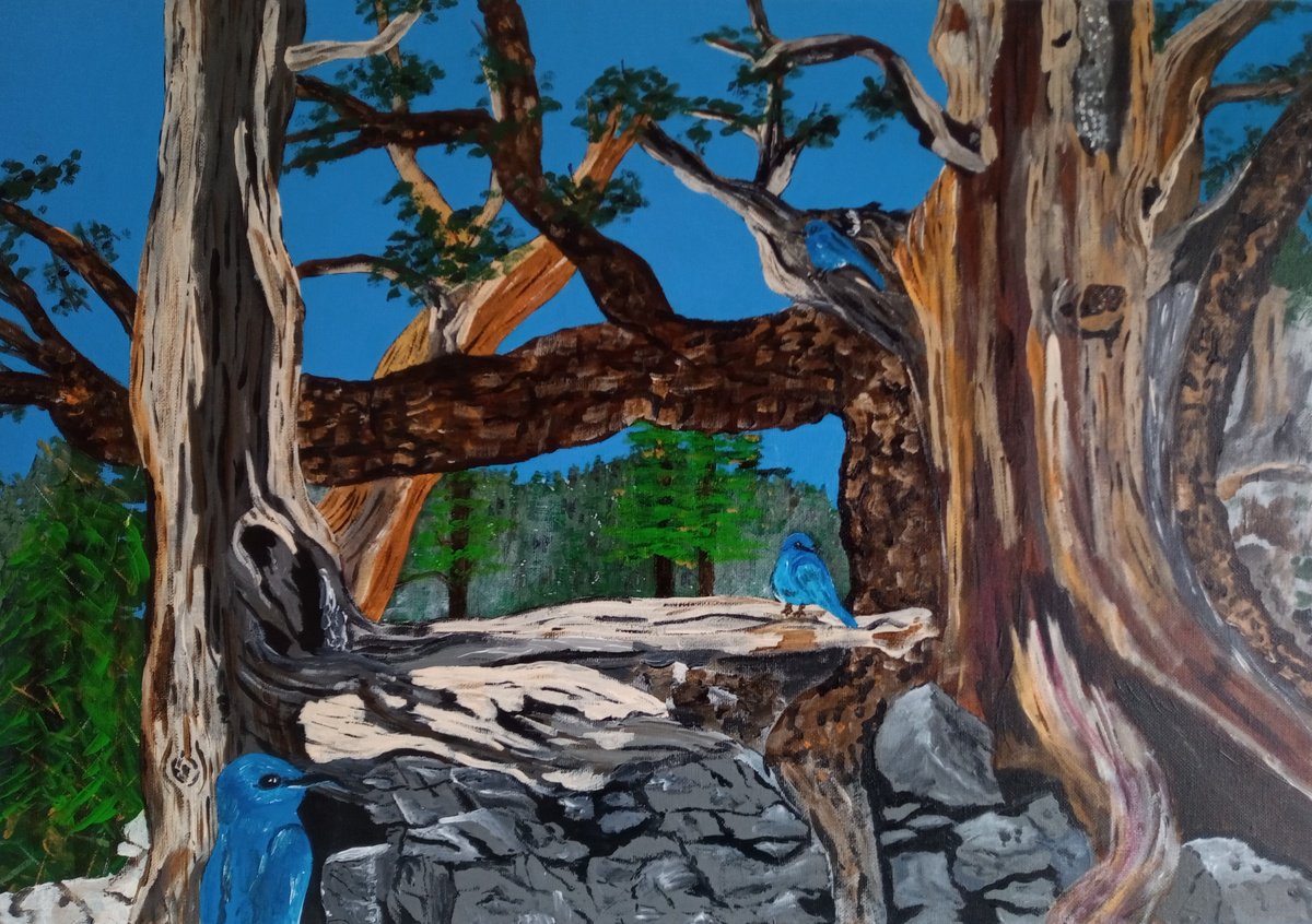 Naive Landscape Acrylic Painting By Corinne Hamer, 23 X 17, The Bristlecone Pine, Original Artwork