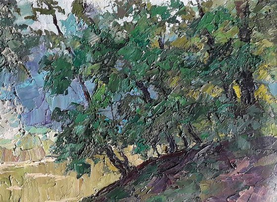 Shore in the forest