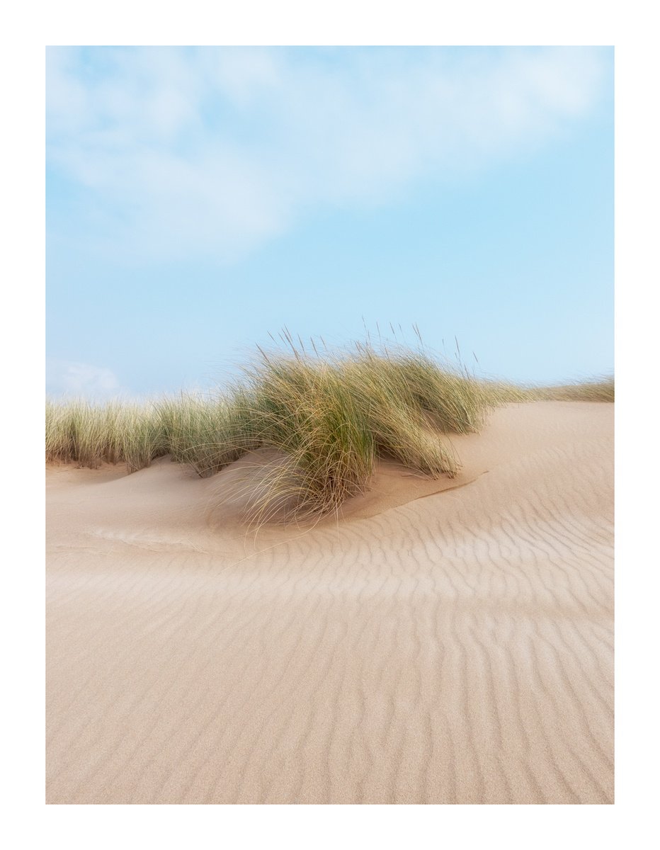 Dune Portrait II by David Baker