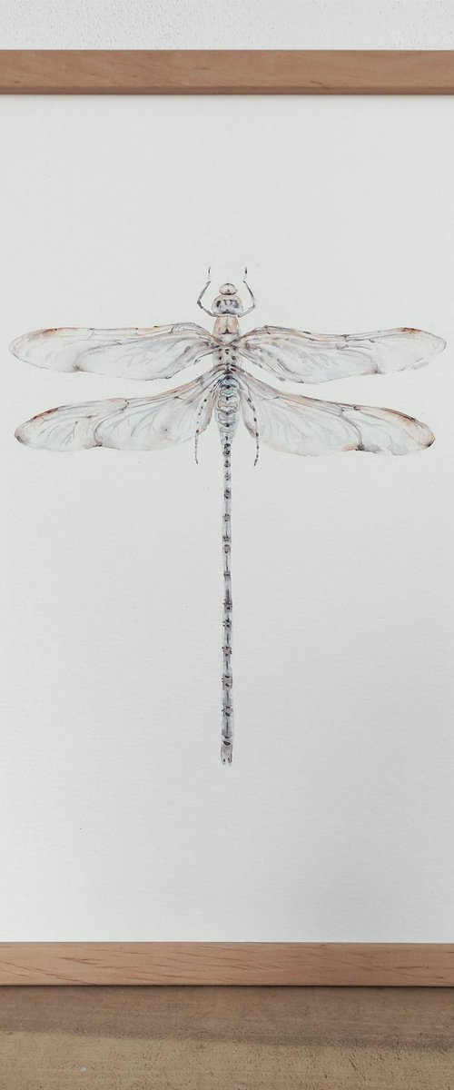 "Flying adder" by Yana Dulger