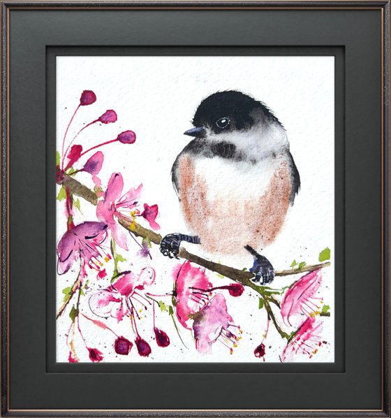 Black-capped chickadee Blossom