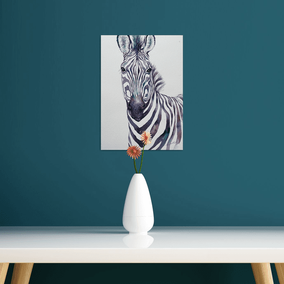 Zebra Johan