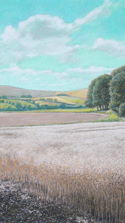 September Light by Paul Simpkins