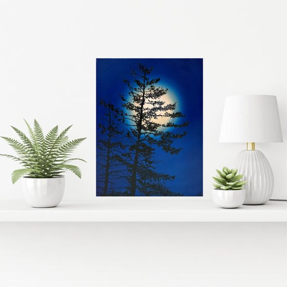 Nocturnal Pines