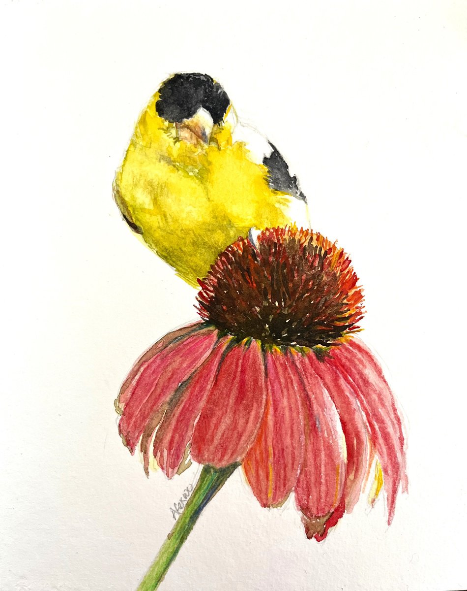 Impressionistic Animal Watercolour By Afekwo, 8 X 10, American Goldfinch Iii, Original Artwork