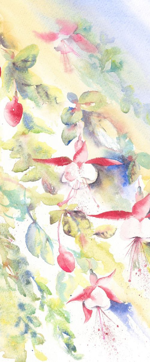 Fuchsia by Anjana Cawdell