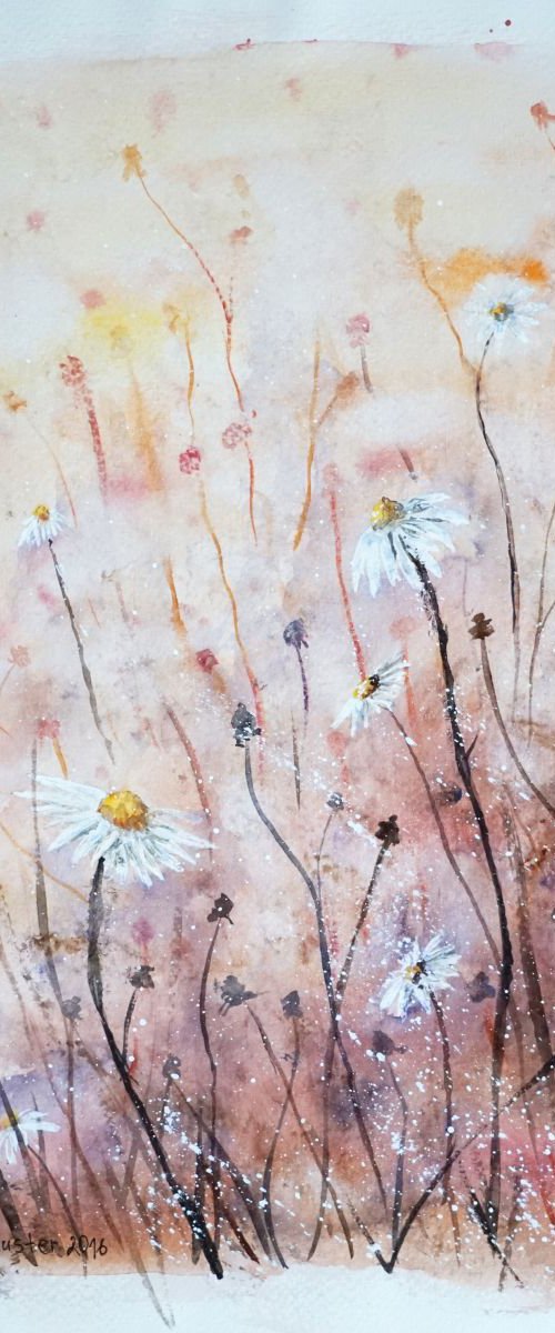 Daisies by Yulia Schuster