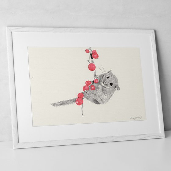 Dormouse handing from red berries