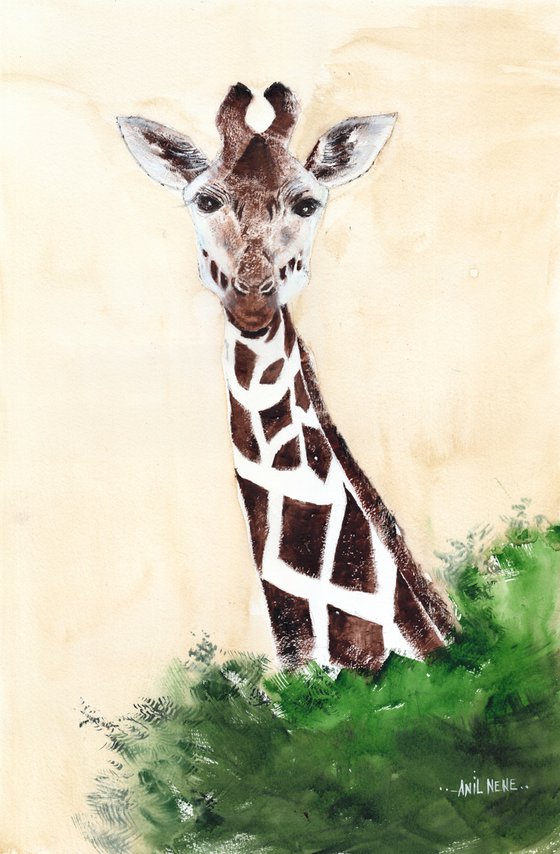 Girafe 1