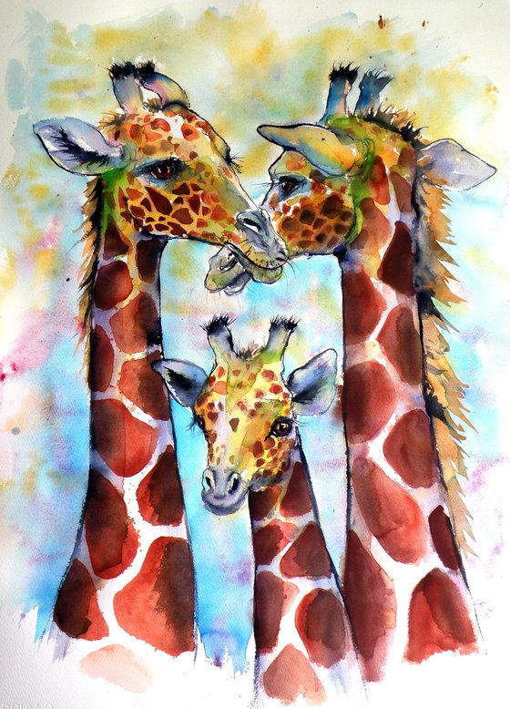 Giraffe family