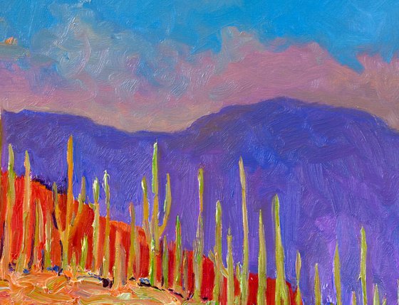 Before the Evening. Saguaros