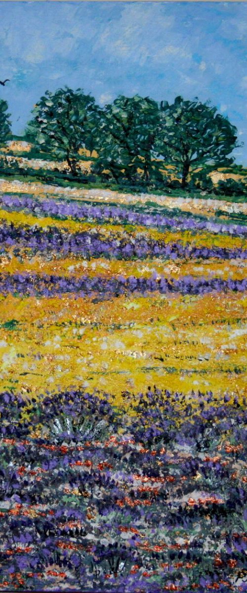 Selborne Lavender Fields I by Paul J Best