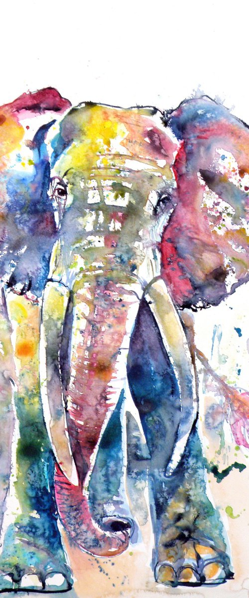 Big elephant by Kovács Anna Brigitta