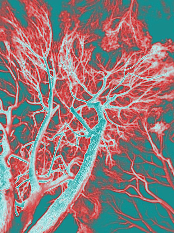 ABC#199 thought pine cage #2