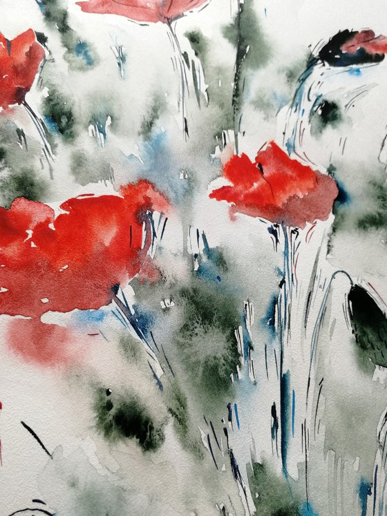 Red poppy painting. Wildflowers