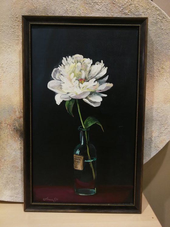 “Peony against a dark background”