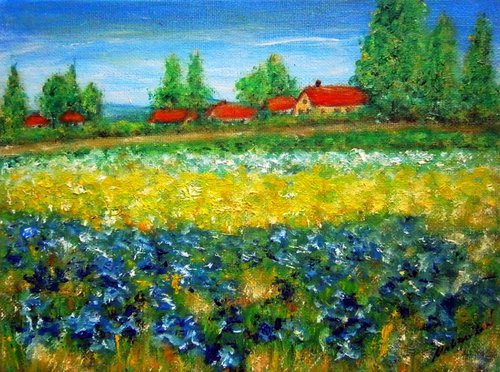 Fields of iris .. by Emília Urbaníková