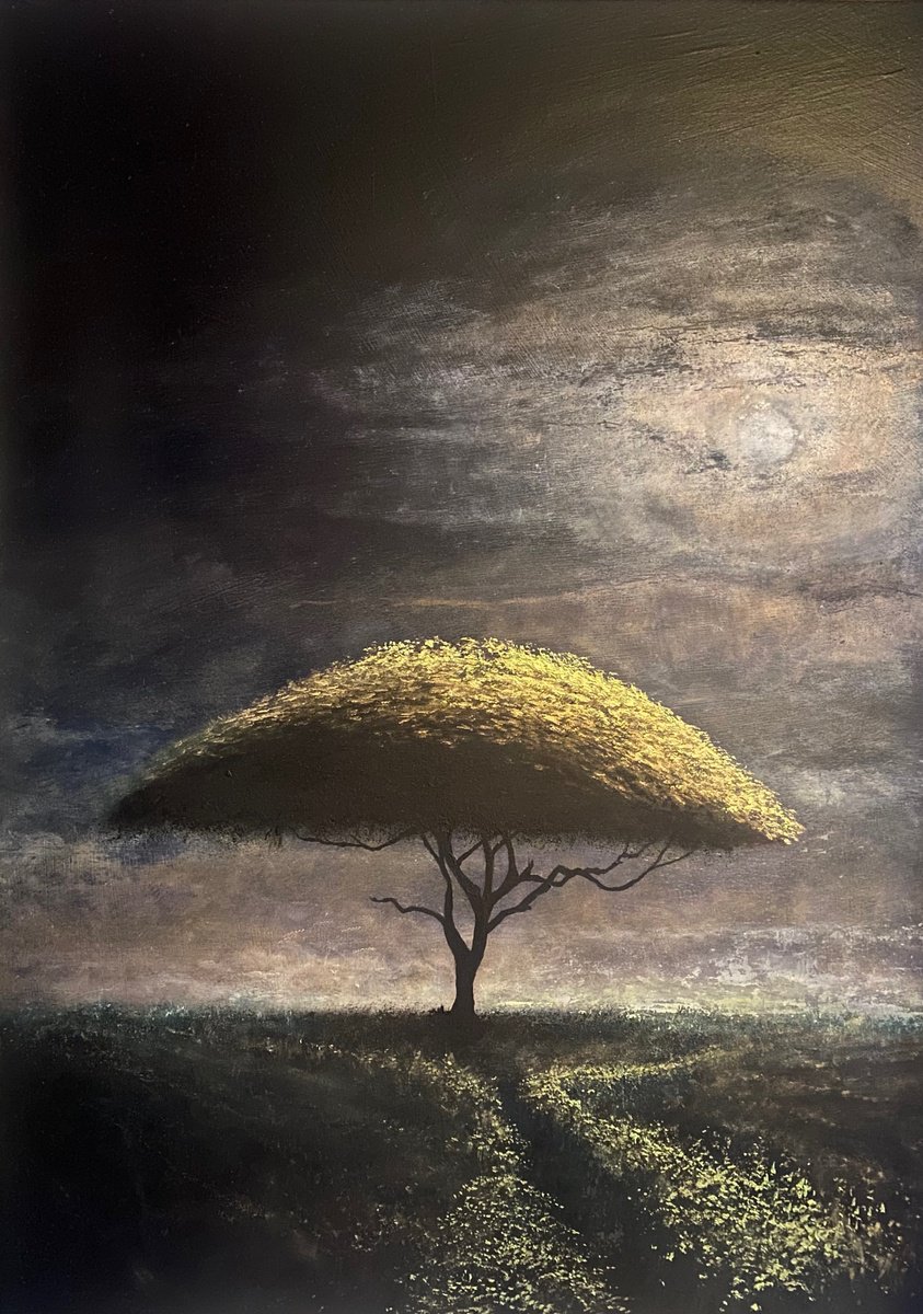 Path To Acacia Moon by Simon Jones