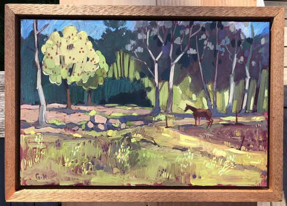 Apple tree, Gunneröd