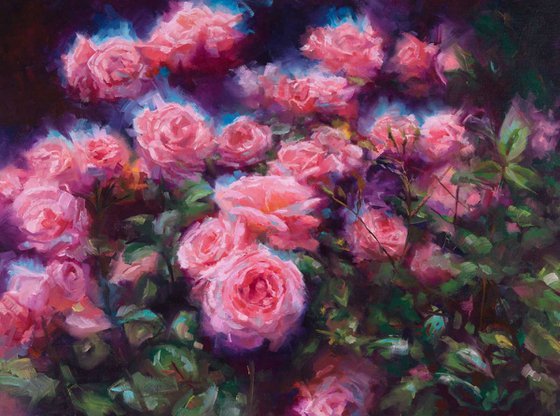 Out of Dust - impressionist pink roses in full sun