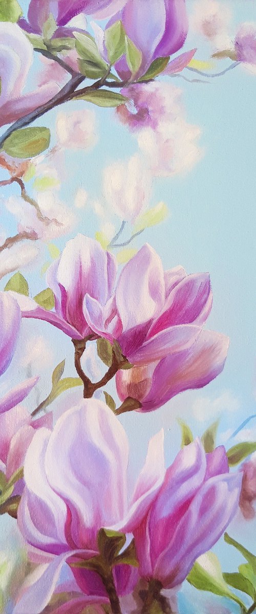 Magnolia Symphony by Anna Steshenko