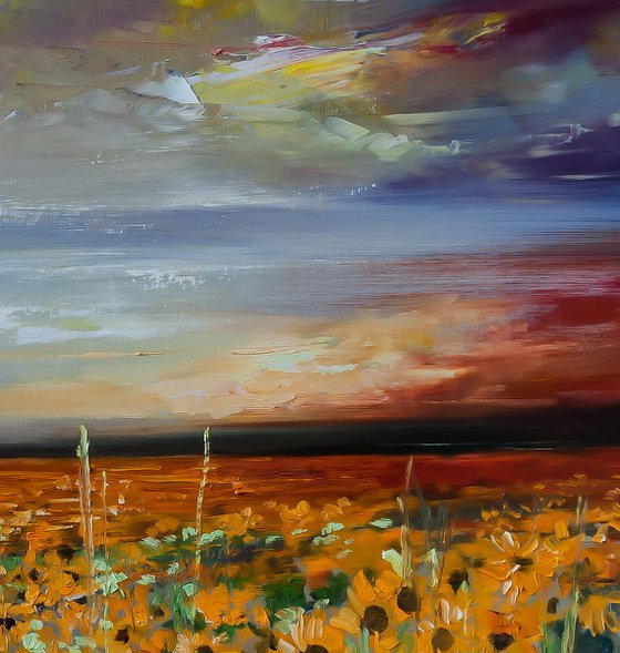 'Sunflower field after storm'