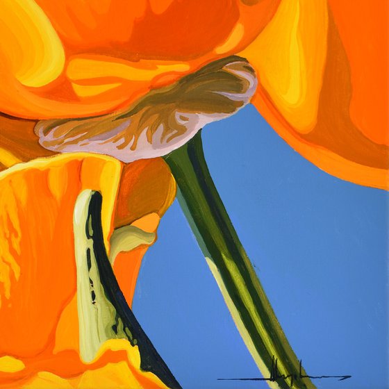 Californian Poppy and Wind #3