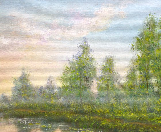 Serene lily pond
