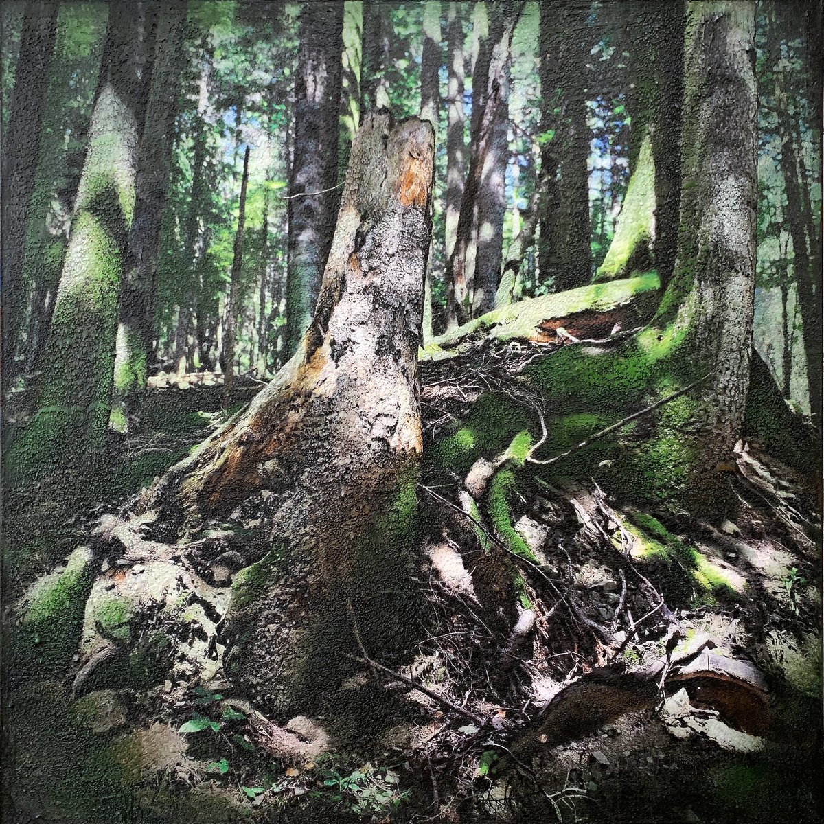 Landscape Painting By Karin Vermeer, 51 X 51", Riservastatalebadiaprataglia, Original Artwork