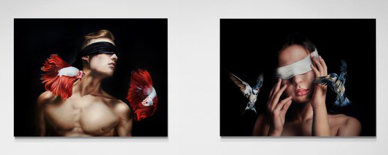 Blindfolded - diptych