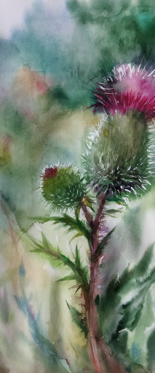 Scottish Thistle 2 by Ann Krasikova