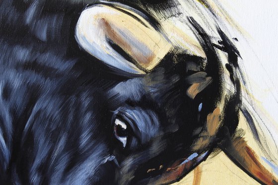 Bull IV.