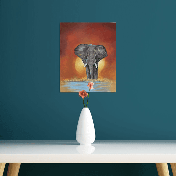 Elephant at sunset