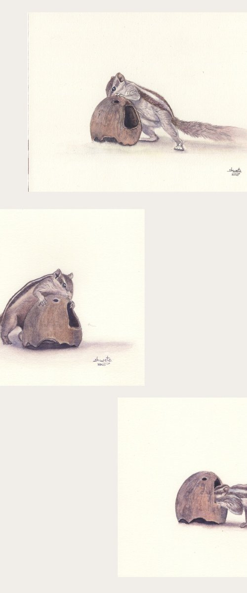 Squirrel and the coconut by Shweta Mahajan
