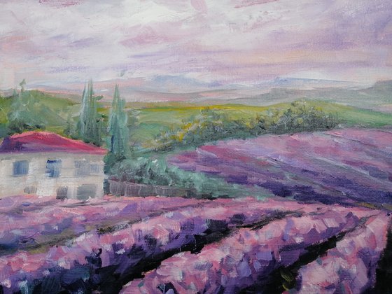 LAVENDER VALLEY