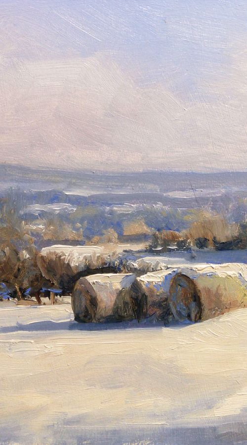 Hay Bales under Snow by Pascal Giroud