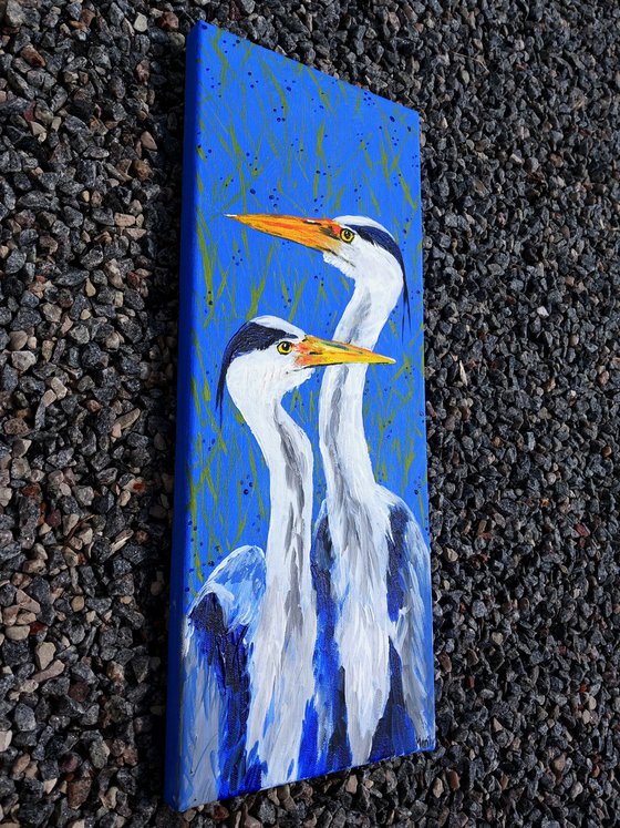 "Blue heron couple"