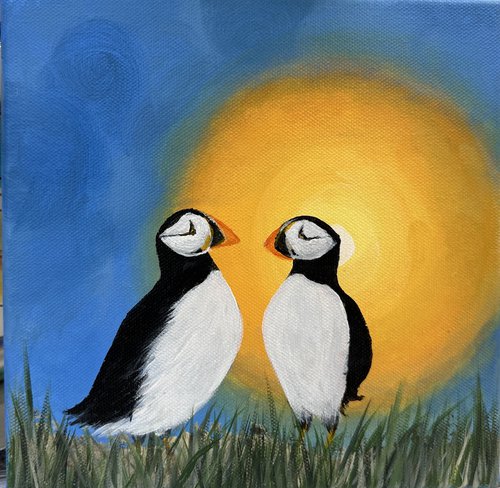 Puffins at sunset by Maxine Taylor